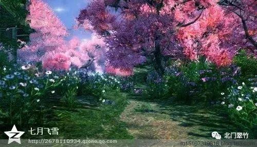 解答百科 | 五月社区有问必答平台