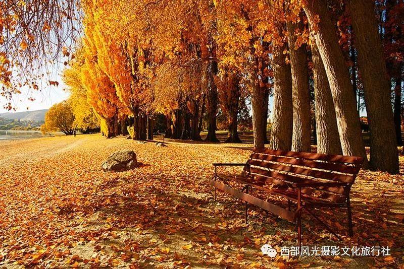 如果你的女朋友是个见异思迁的人，你会不会和他分手？